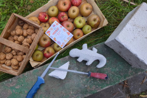 Äpfel, Walnüsse und Porenbeton