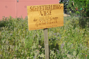 Schild Schmetterlingswiese