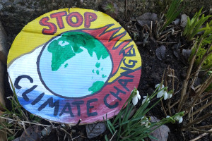 Stop Climat Change - Schild mit Schneeglöckchen