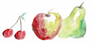 Kirsche - Apfel - Birne, Aquarellzeichnung
