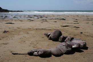 Steinschlange am Meer, Cornwall