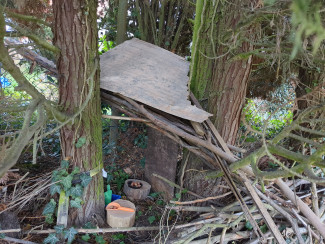 Eine selbst gebaute Bude im Gebüsch