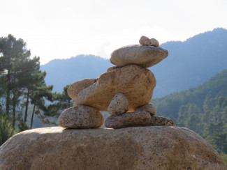 Tierskulptur am Fluss, Steine