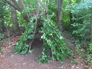 Ein Tipi mit Zweigen