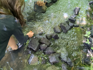 Kinder bauen Staustellen am Bach