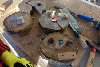 Holz-Workshop: Gesichter aus Baumscheiben