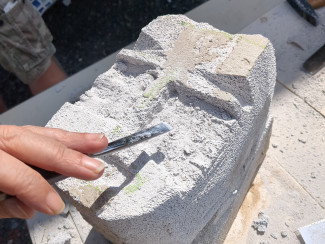 Bei der Arbeit in den Hardtgärten