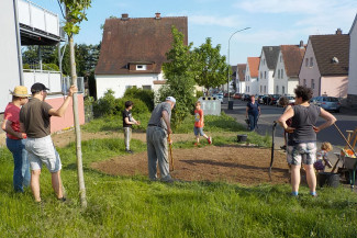 Schmetterlingswiese wird angelegt