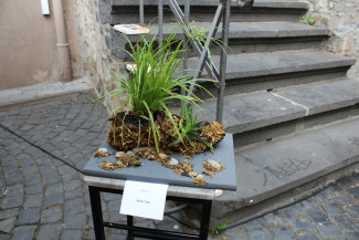 Ausstellung "eigen ständig keit" im Ulenspiegel