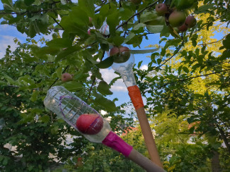 Apfelpflücker im Einsatz