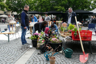 Beim Bepflanzen der Tonnen