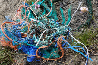 Fischerschnüre, eingesammelt am Strand, Norwegen 