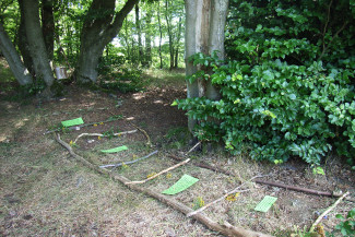 gestaltete Wald-Leiter, Kulturseminar "Generation Konflikt oder Kooperation?" Bodenrod