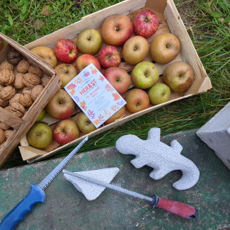 Äpfel, Walnüsse und Porenbeton