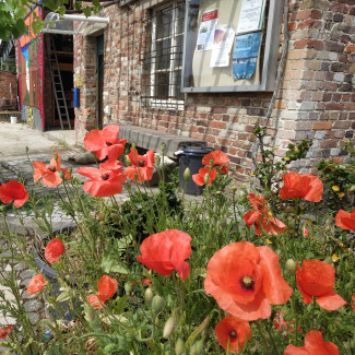 Frühlingsmarkt in den Hardtgärten