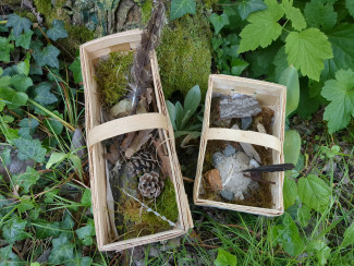 Waldkisten mit gesammelten Materialien 
