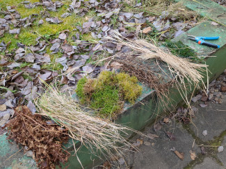 Materialien zum Vogelnestbau